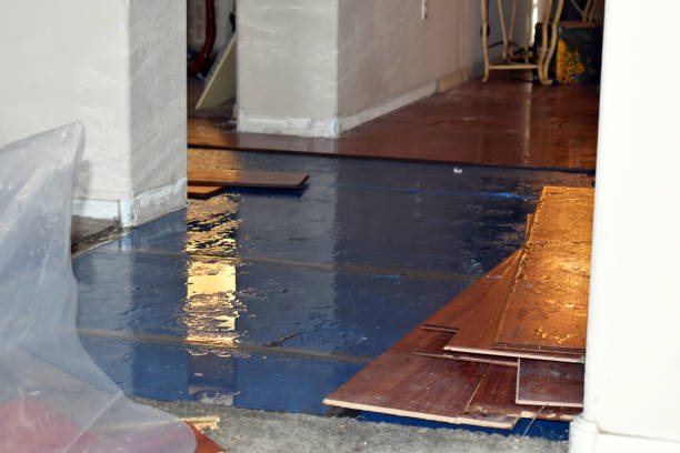 Professional Sewage Cleanup technician working in Winfred, SD